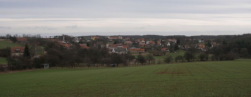 Vyklízení Podmolí